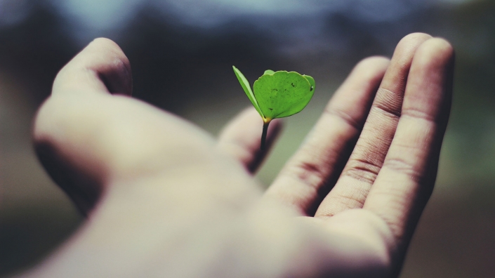 Inspire Independent Living Support
